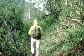 Backpacker at Horsethief Creek