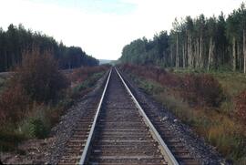 Spraying willow along railway near Prince George