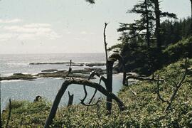 Shoreline in the Tsuquanah-Nitnat area on the West Coast Trail