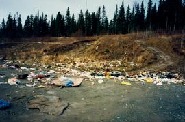 Aleza Lake Garbage Dump