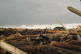 Piles of washed up logs on beach at Coal Creek on the West Coast Trail