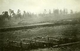 Rich farmland near Fort Fraser