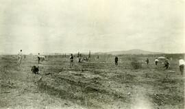 Sports on Victoria Day at Fort Fraser