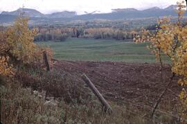 Fall colours and farmland near Glentanna