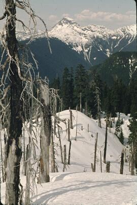 Mount Laughington