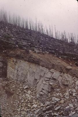 Slash burning over shallow soil on aggregate consolidated bedrock, Nimpkish Valley