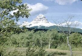 Crowsnest Mountain at Deadman Pass