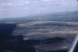 Aerial view of clearcutting at Williams Lake
