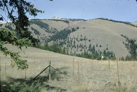 Crater Mountain and range at Ashnola