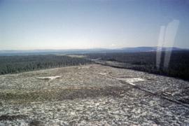 Clearcut at Aleza Lake Research Forest