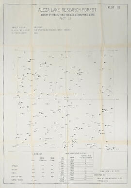 Aleza Lake Research Forest Plot 112