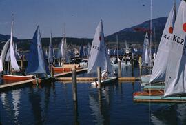 Sailing regatta, Kelowna