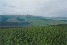 Aerial views (E 15 Mile to Rock Ck) - 02