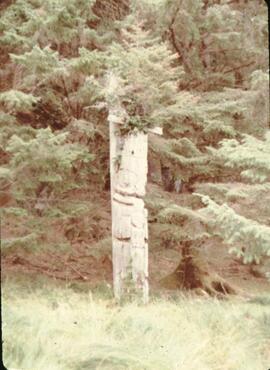 Ninstints totem poles at Anthony Island