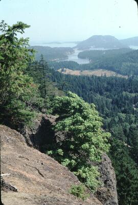 View of Mayne Island from mountain