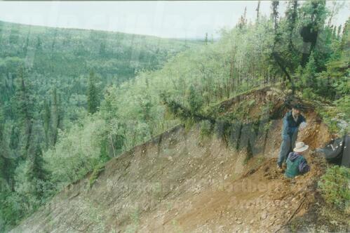 Original Digital object not accessible