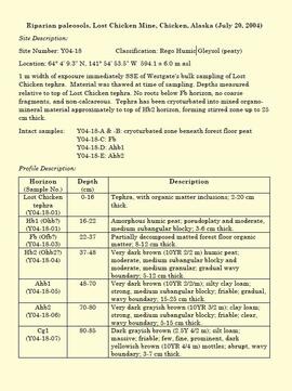 "Riparian paleosols, Lost Chicken Mine, Chicken, Alaska (July 20, 2004)"