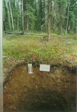 Y02-24 Div Ck soil, km 566 Klondike Hwy - 06