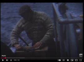 Filleting Fish