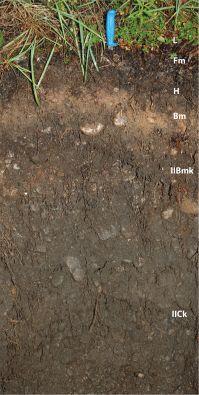 BC12-11 soil profile (annotated)