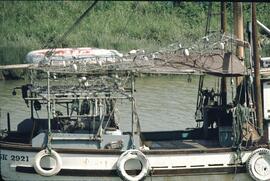 Shrimp fishing boat in the Delta-Richmond area