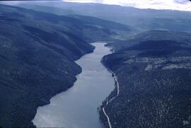 Aerial view of forest and Canim Lake