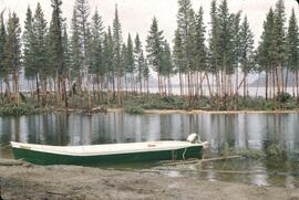 Motorboat by flooded tree stand with ice line in Williston Lake