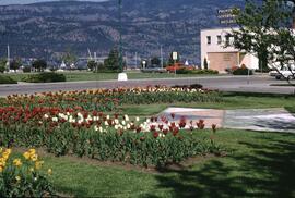 Centennial Park and courthouse, Kelowna