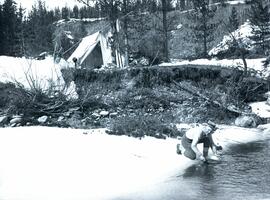 H. Porter panning at tent camp on McLeod River trip