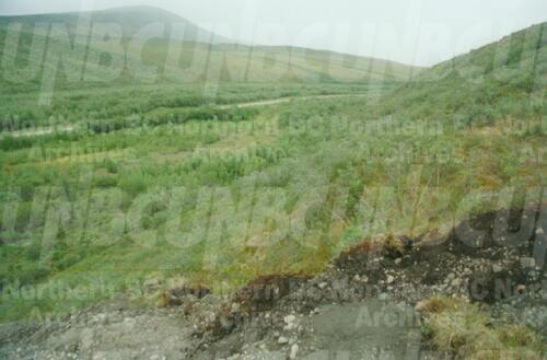 Original Digital object not accessible