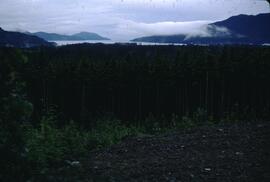 Marine inlet, Kitimat