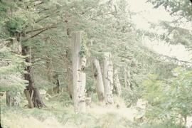 Ninstints totem poles at Anthony Island