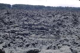 Tseax lava flows near Terrace