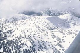 Aerial view of snowy alpine on Boss Mountain