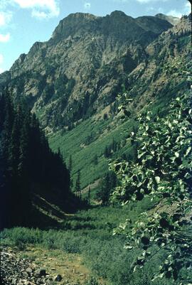 Valley on Punch Bowl Loop trail near Dewdney