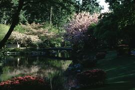 Japanese Gardens