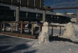 Wood Bridge and Snow Sculptures