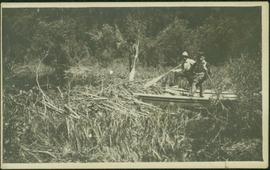 Men in Boat with Forest Slash