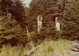 Haida totem poles on Ninstints, Anthony Island, Haida Gwaii