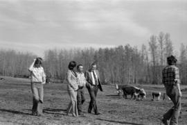 Iona Campagnolo, Minister Jack Horner, and unidentified others walking through a cow pasture in Smithers