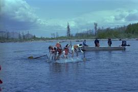 Teams rafting the Kitimat River for the Elks Raft Race during the Kitimat Delta King Days