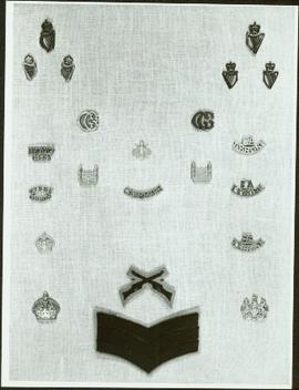 Close-up of Royal Irish Constabulary badges and arm crests