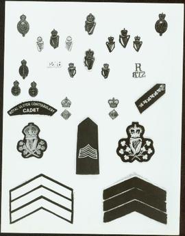 Closeup of Royal Irish Constabulary badges and arm crests