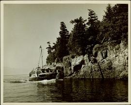 The M.S. John Antle on her rounds entering Smuggler Cove
