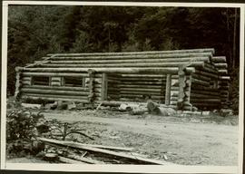 Log cabin under construction