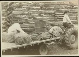 Iona Campagnolo sits on hay trailer being pulled by tractor in front of log barn