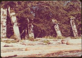 Five leaning, carved memorial poles, Ninstints, Anthony Island, Haida Gwaii, September 1977