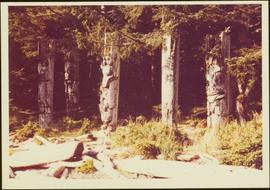 Five carved memorial poles, Ninstints, Anthony Island, Haida Gwaii, September 1977
