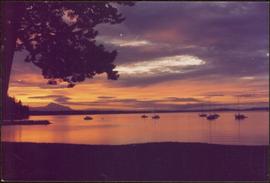 Panorama of the harbour at sunset, North Cove, Thetis Island, BC