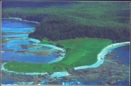 Panorama of rocky harbour surrounding a stretch of green lawn and forest on Vancouver Island, BC